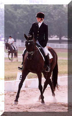 obiedressage.jpg (105530 bytes)